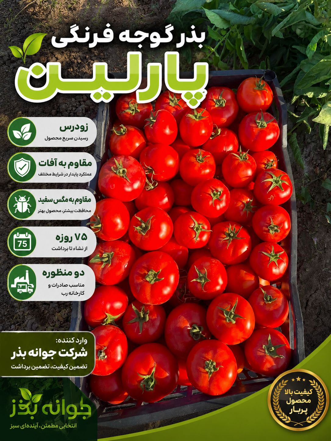 بذر گوجه فرنگی پارلین