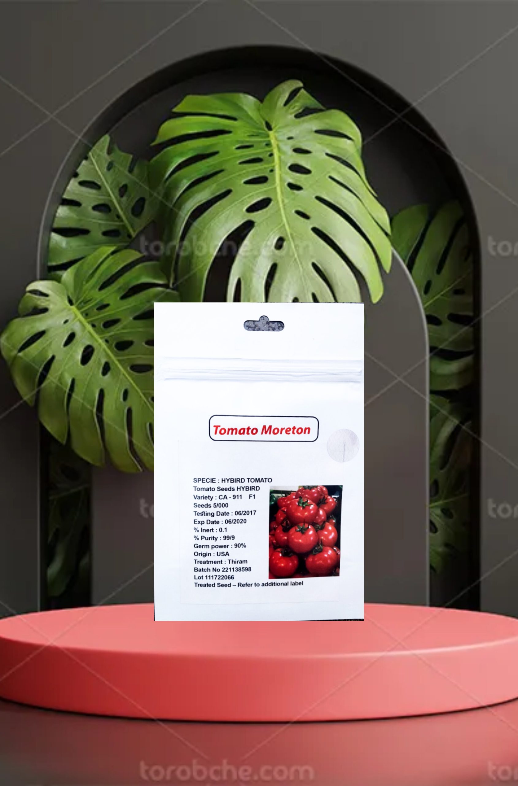 رقم گوجه 911 مقاوم به کم ابی