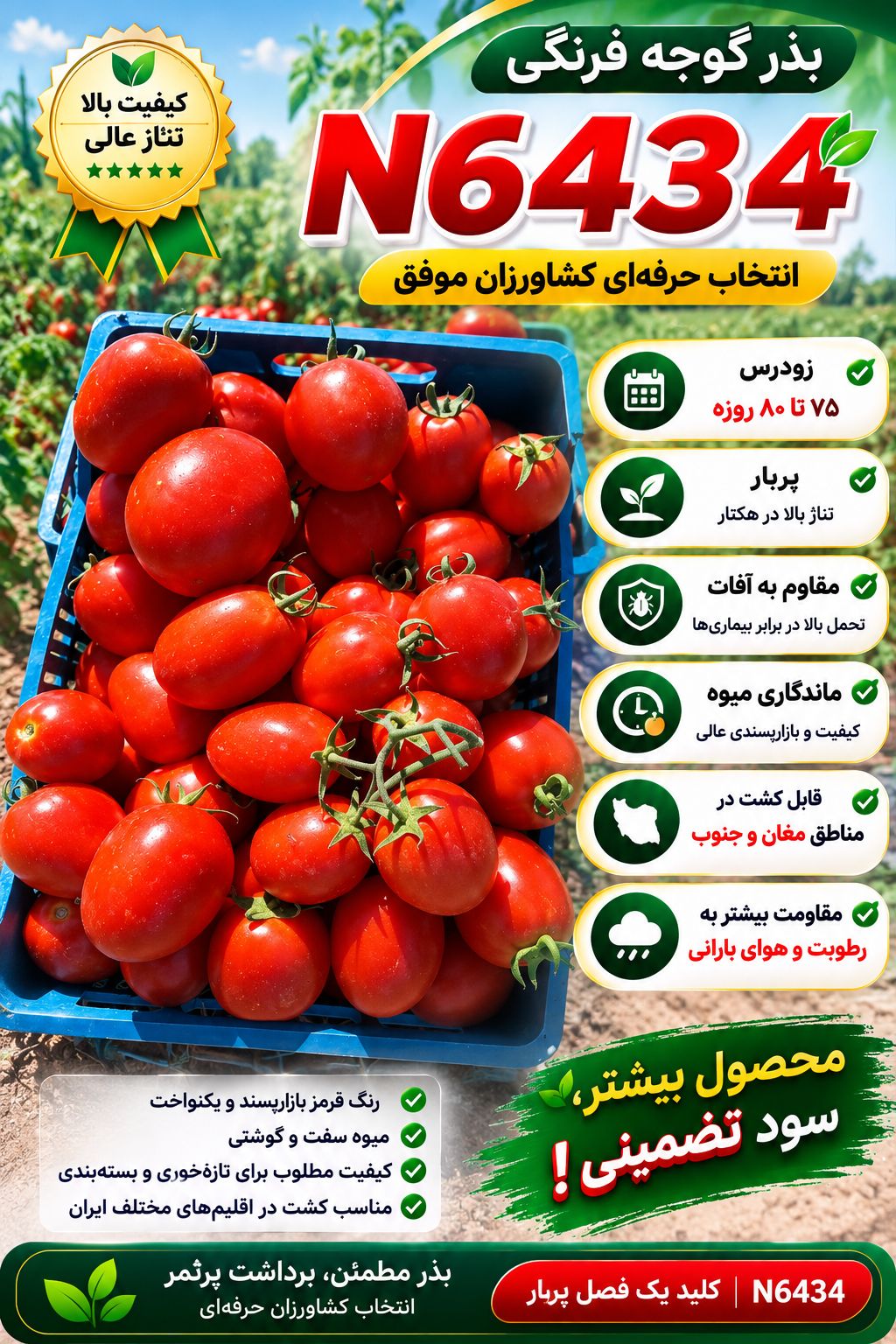 بذر گوجه فرنگی N6434