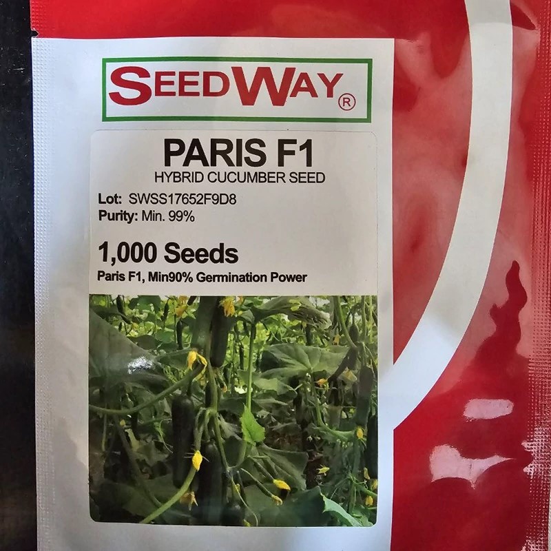 خیار گلخانه ای پاریس