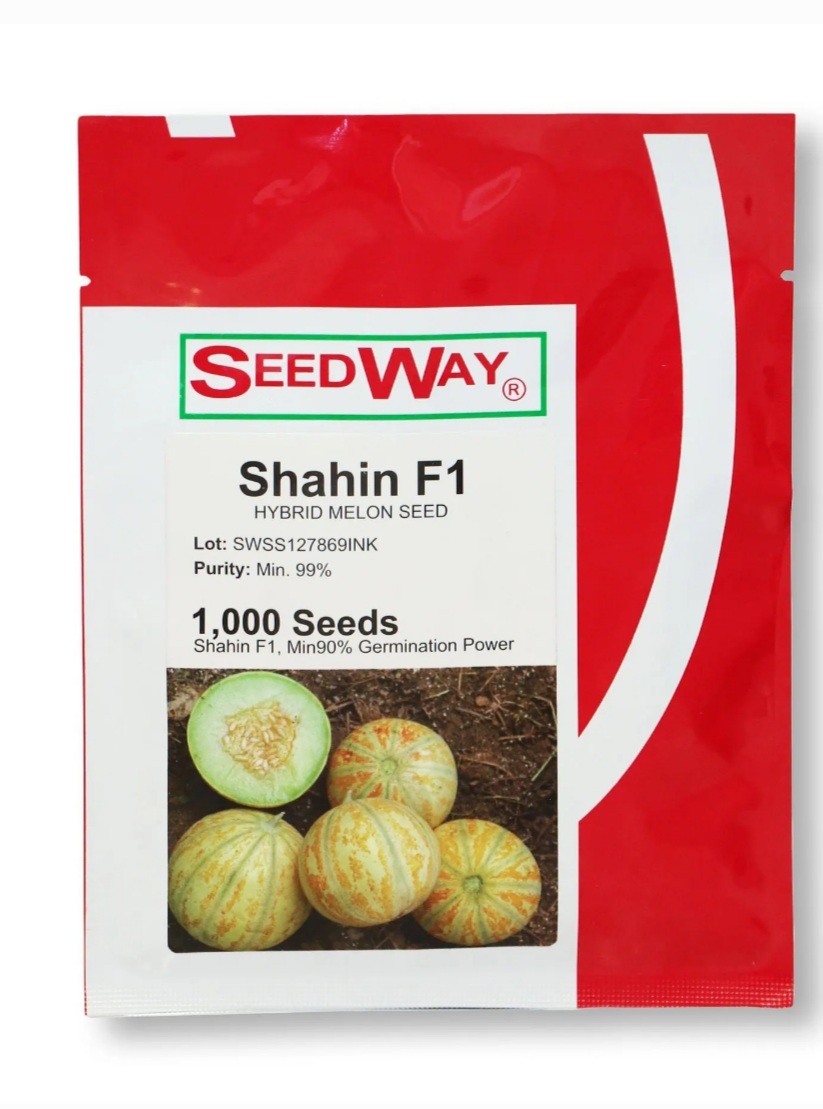 خربزه شاه پسند