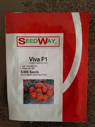 بذر گوجه شیوا