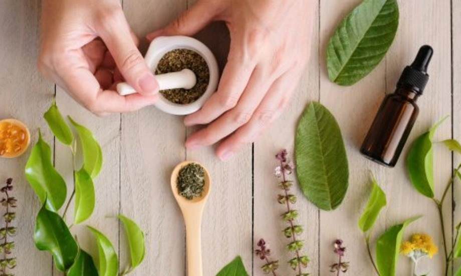 نیروی درمانی گیاهان را بشناسیم