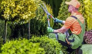 باغداری و باغبانی