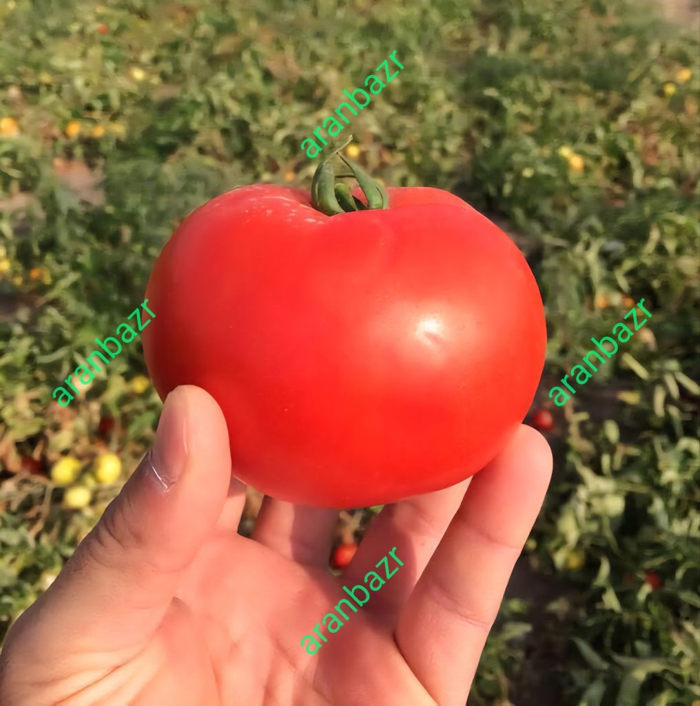 فواید گوجه فرنگی