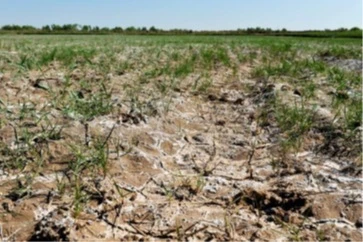 غلظت نمک‌های خاک