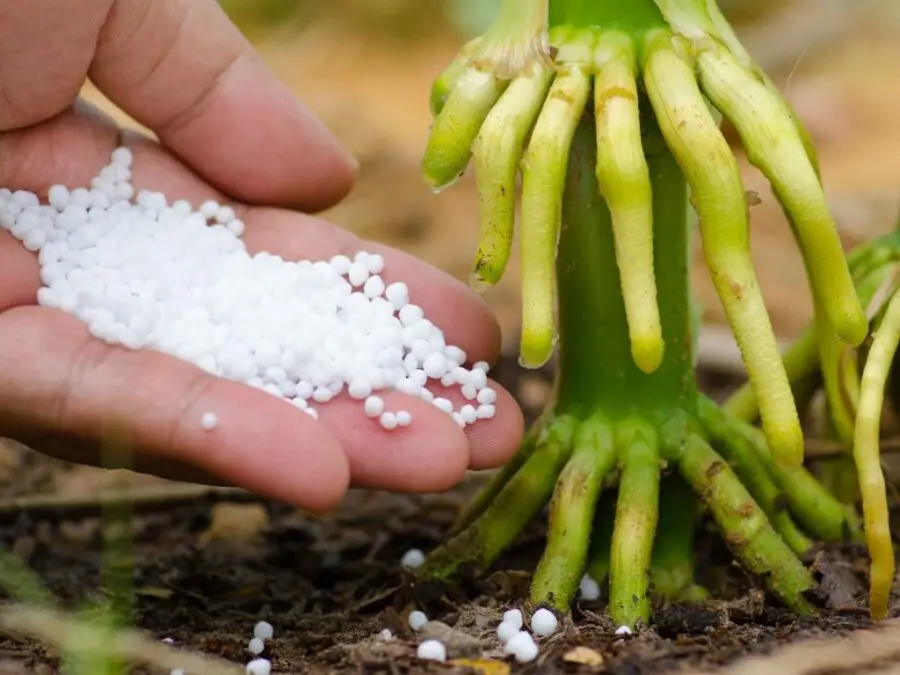 مزیت کود اوره