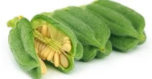 شرایط کاشت کنجد