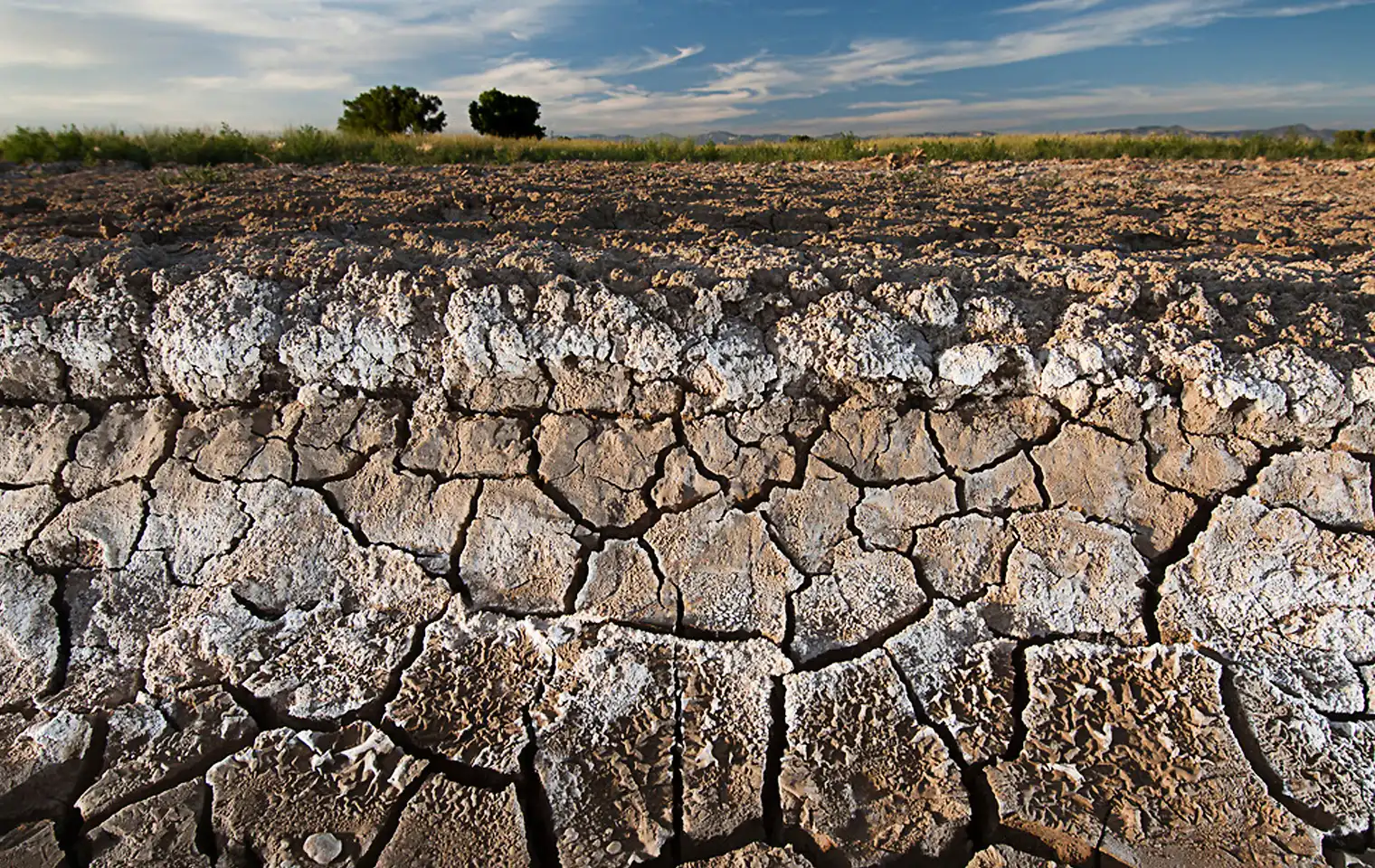 کاهش میزان نمک درخاک
