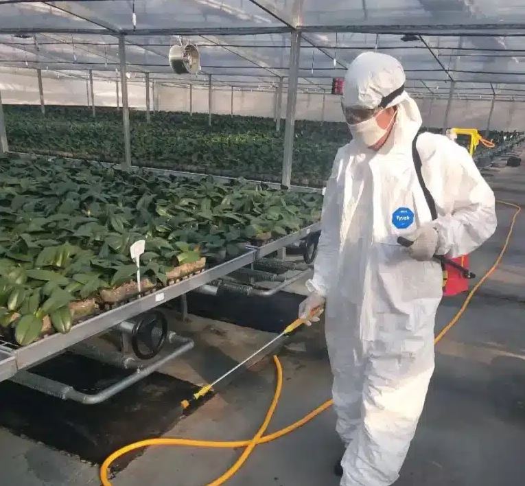 ضدعفونی کردن گلخانه