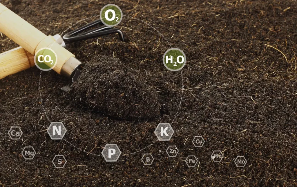 غلظت عناصر غذایی خاک