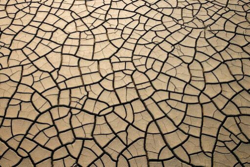 جلوگیری از سله بستن