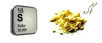 نقش گوگرد در گیاهان