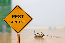 مبارزه با سوسک