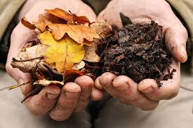 مزایای کود برگی