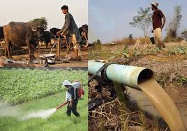 نقش فضولات انسانی در کشاورزی