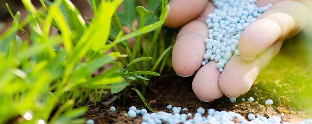 انواع کود ازته