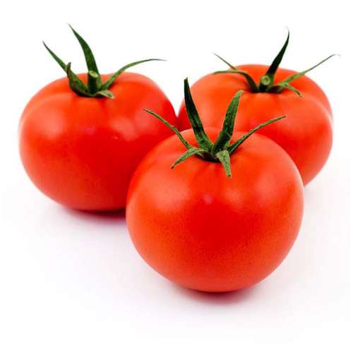 بذر گوجه فرنگی بدرو