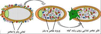 تیمارها و پوشش های مجاز برای بذر های ارگانیک