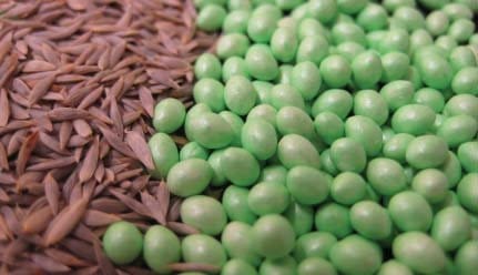 حبه ای کردن بذر