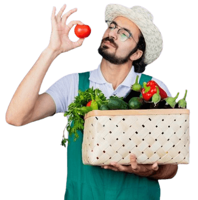 فروشگاه اینترنتی آراز بذر
