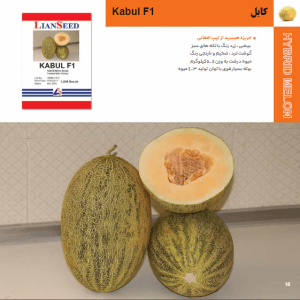 معرفی بذر خربزه کابل