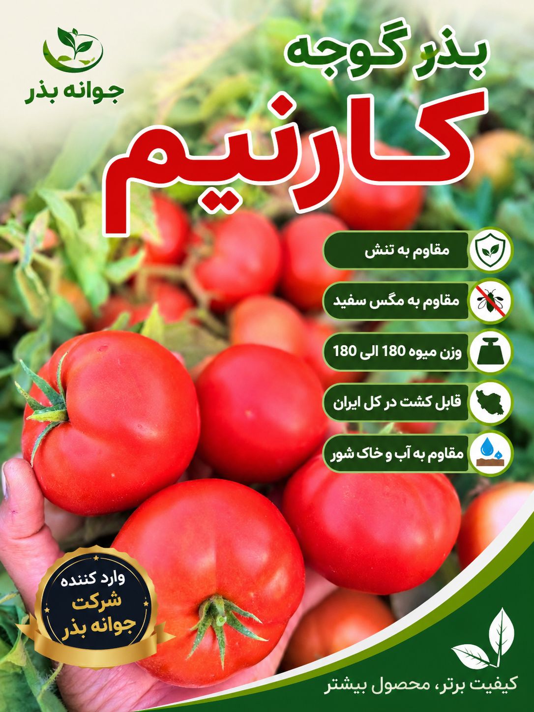 معرفی بذر گوجه فرنگی کارنیم