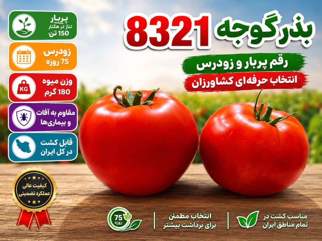 مزایای مهم بذر گوجه ۸۳۲