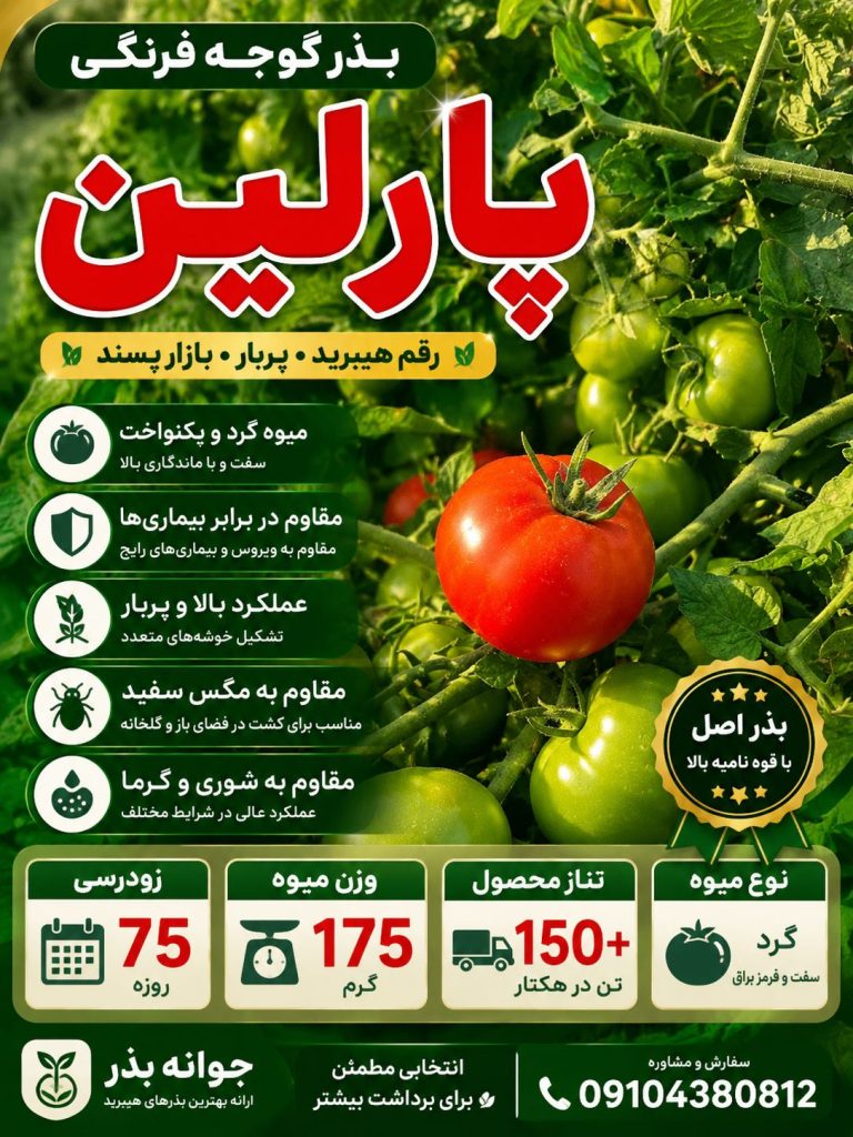 بهترین رقم گوجه پارلین 75 روزه