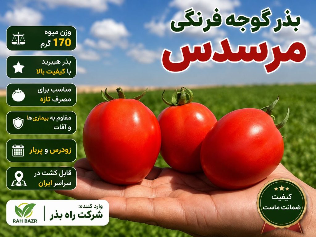 علت زودرسی و کیفیت بذرهای شرکت اراز بذر