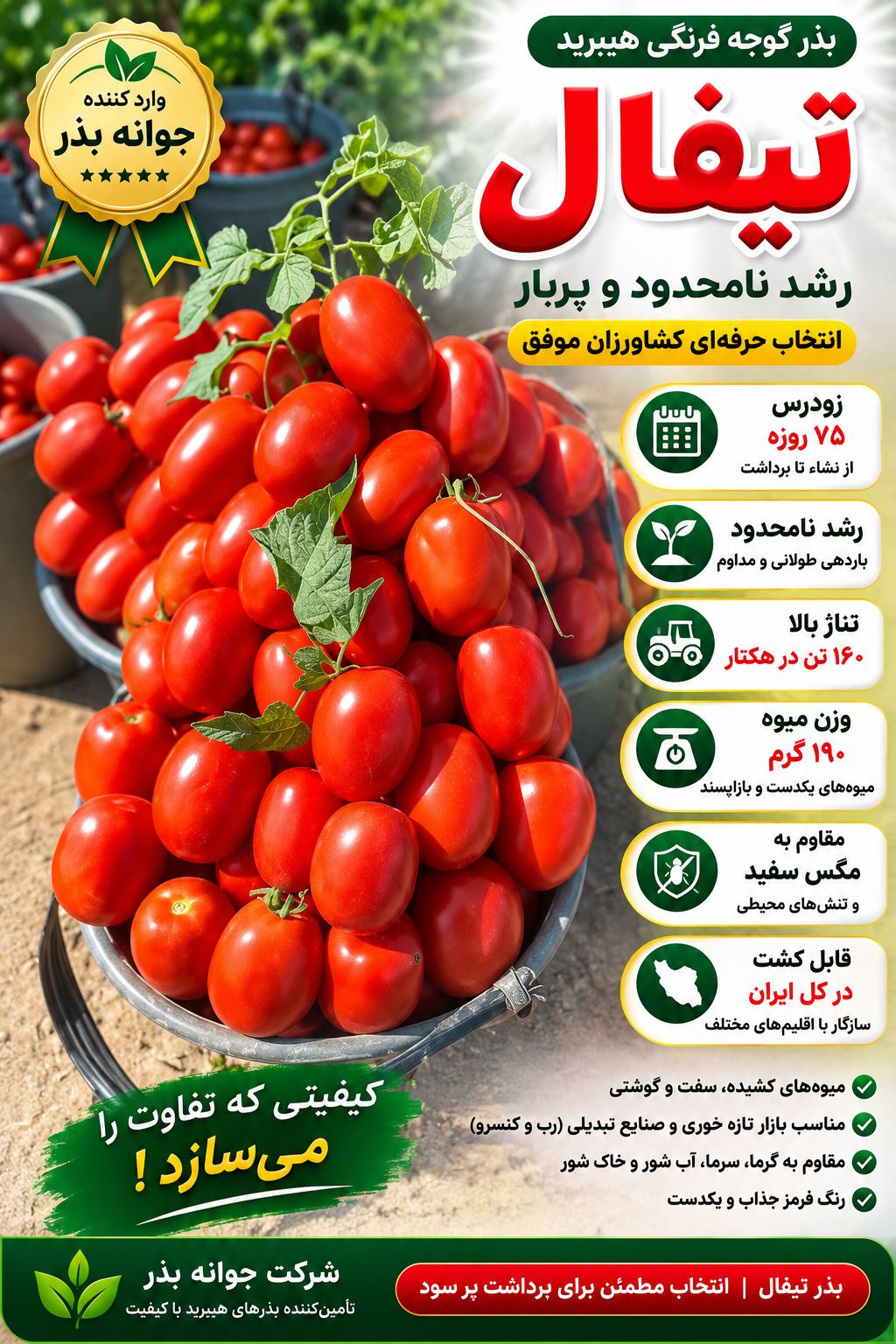 بذر گوجه فرنگی تیفال